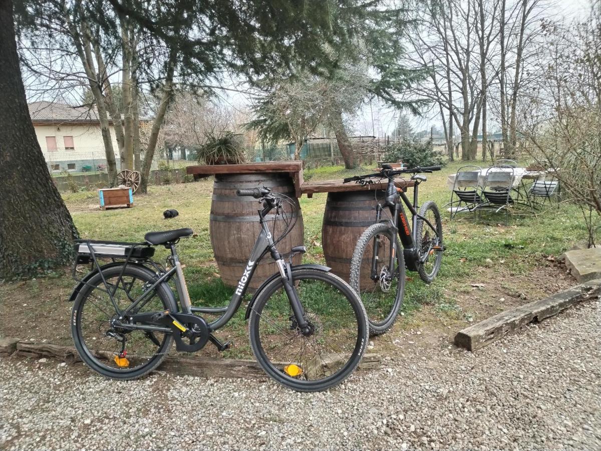 Agriturismo Le Oche Selvatiche Lauzacco المظهر الخارجي الصورة
